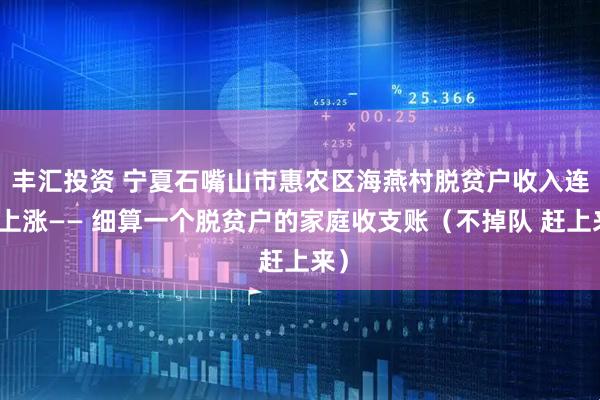 丰汇投资 宁夏石嘴山市惠农区海燕村脱贫户收入连年上涨—— 细算一个脱贫户的家庭收支账（不掉队 赶上来）